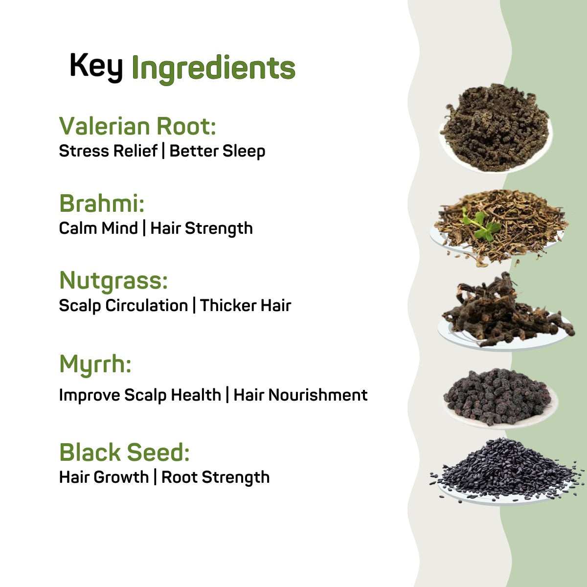 Best Herbal Hair Oil in Pakistan | Peace by ZELOISM Hair Growth & Anti Hair Fall Formula